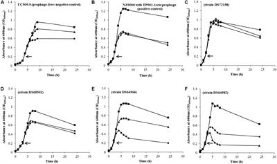 Detecting Lactococcus lactis Prophages by Mitomycin C-Mediated Induction Coupled to Flow Cytometry Analysis